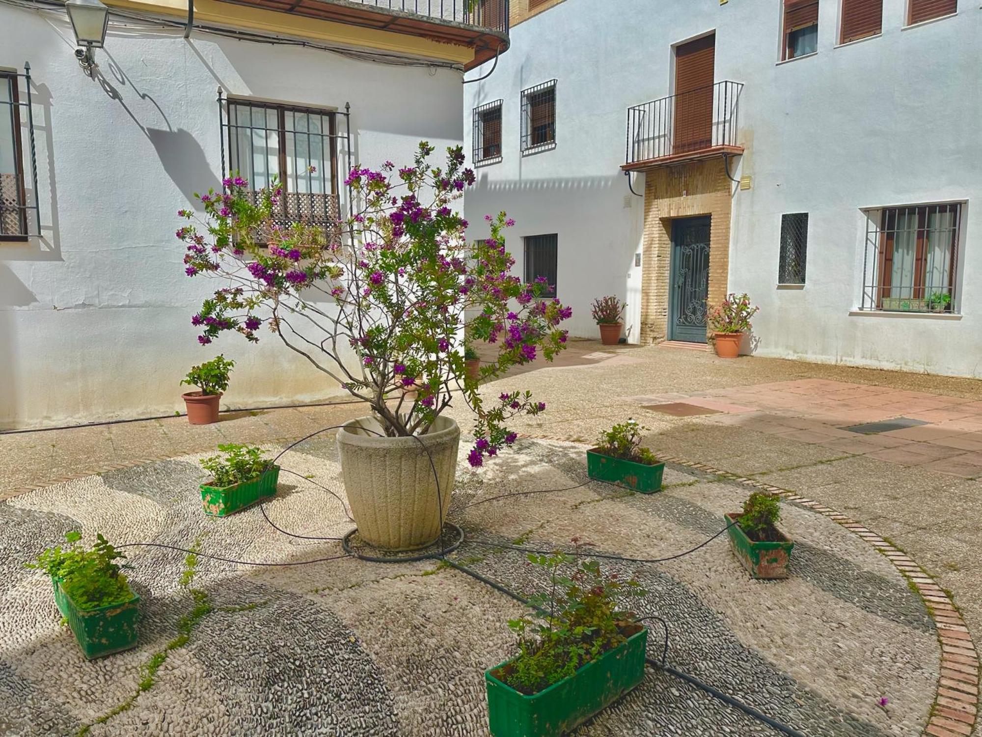 Orive House Córdoba Exterior foto